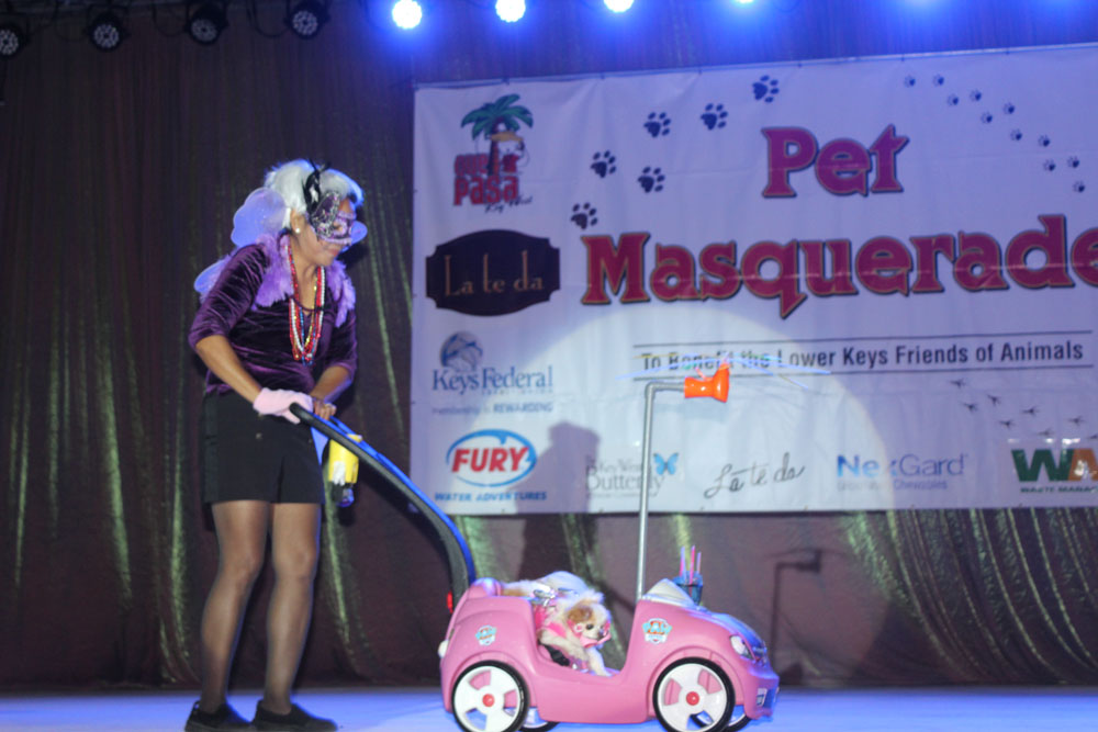 Pet Masquerade 2018 photo - Duval Street, Key West